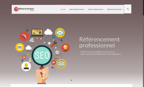 https://www.referencement-pro.fr
